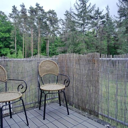 Ferienwohnung Kwe 12 Og Graal-Mueritz Ngoại thất bức ảnh